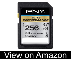 PNY Elite Performance 256 GB