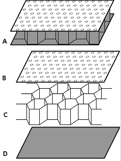 Sandwich Acoustic Panel