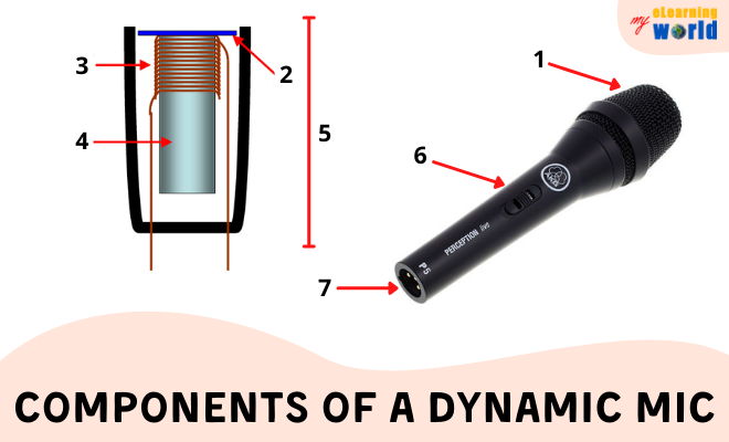 Dynamic Mic Components feat. AKG P5S