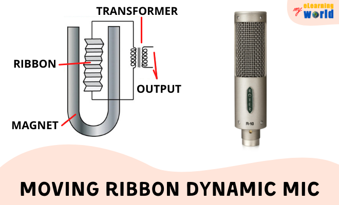 Components of a Moving Ribbon Dynamic Mic feat. Royer R-10