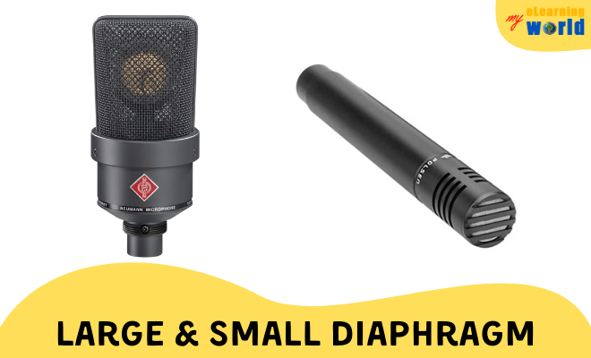 Decide what type (large-diaphragm or small-diaphragm) you need