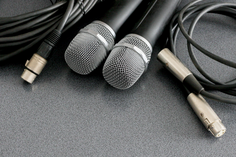 16 Best XLR Microphones for Studios and More [2022 Edition]