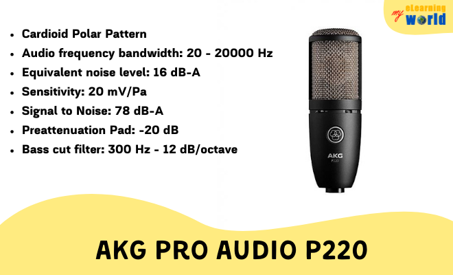 AKG Pro Audio P220