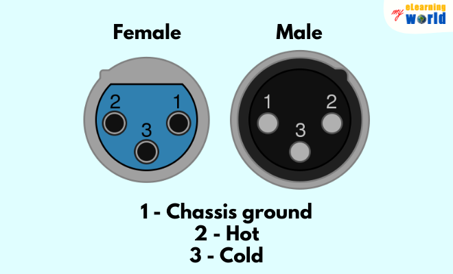 Male and Female Versions Utilize Pin Conductors