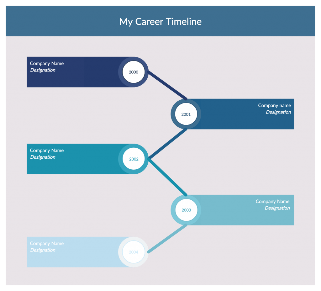 career timeline
