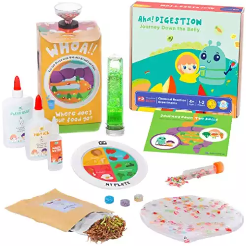 MEandMine Aha! Digestion - STEM Chemistry Kit- Body Science - Poop Lab, Food Slime, Nutrient Fizzy Solutions, Lava Lamp- Gift for Boys and Girls Ages 4-7- STEM Toys
