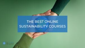 best sustainability courses online