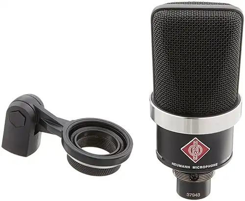 Neumann TLM 102 MT Condenser Microphone, Cardioid